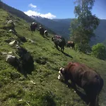 Διαμέρισμα Ca Del Nore Fontainemore