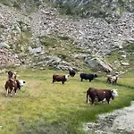 Διαμέρισμα Ca Del Nore Fontainemore