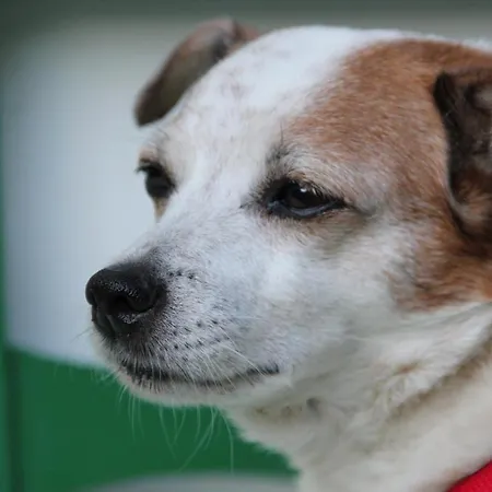 Apartman Ca Del Nore Fontainemore