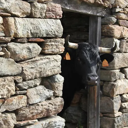 Ca Del Nore