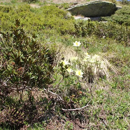 Apartman Ca Del Nore