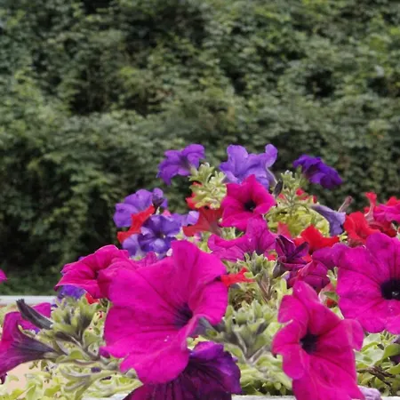 Ca Del Nore * Fontainemore