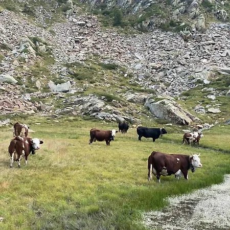 Apartman Ca Del Nore Fontainemore