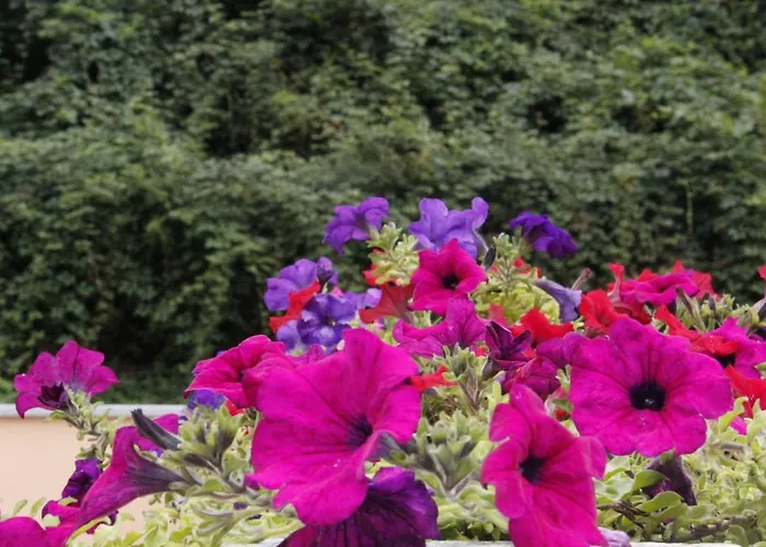 Ca Del Nore * Fontainemore