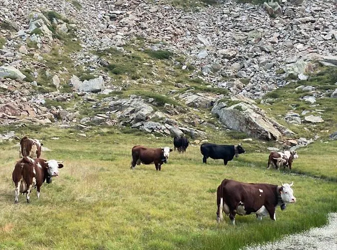 Apartamento Ca Del Nore Fontainemore